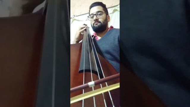 benedetto marcello sonata N2 contrabajo смотреть онлайн
