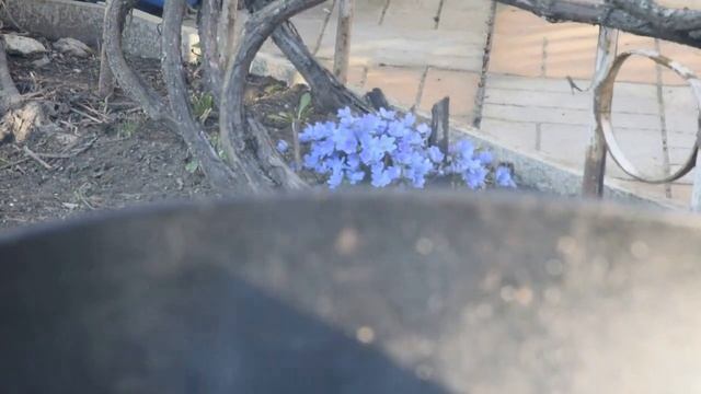 Секреты Ухода за Волосами