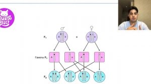 Вся генетика за 30 минут! Решение генетики для ЕГЭ по биологии!