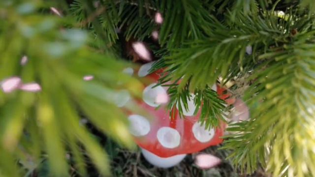 У меня в садочке выросли цветочки. Музыкальная композиция. смотреть онлайн
