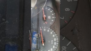 самодиагностика вортекс эстина чери фора