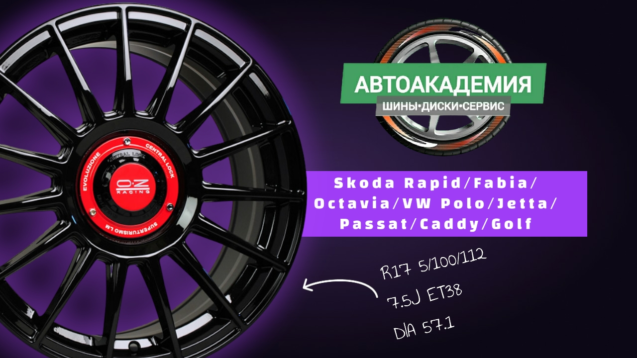 Диски R17 5/100-112 Skoda Rapid/Fabia/Octavia/VW Passat/Jetta/Golf/Caddy смотреть онлайн