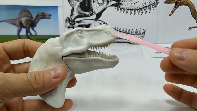 Как слепить Тираннозавра. Tyrannosaurus T-Rex