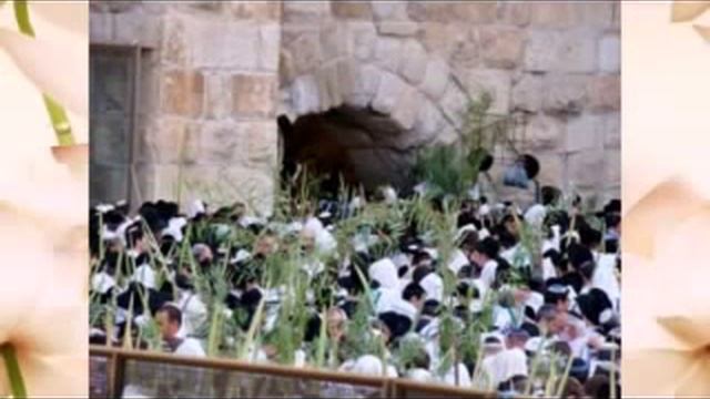 Праздник Суккот в Израиле смотреть онлайн