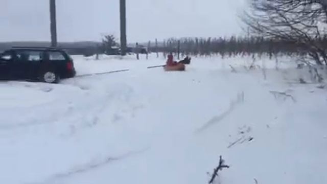 Volkwagen Golf 4 4motion тягне плюшку