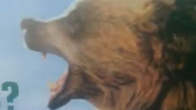 Где моя жопа? смотреть онлайн