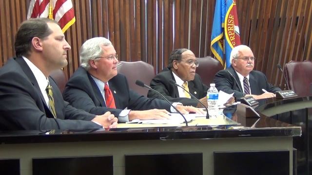 Rainer Cotter speaks at the Enterprise City Council Meeting 07-02-13 смотреть онлайн