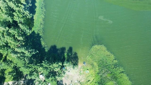 Шарап 2020.Новосибирская область.Ордынский район. смотреть онлайн