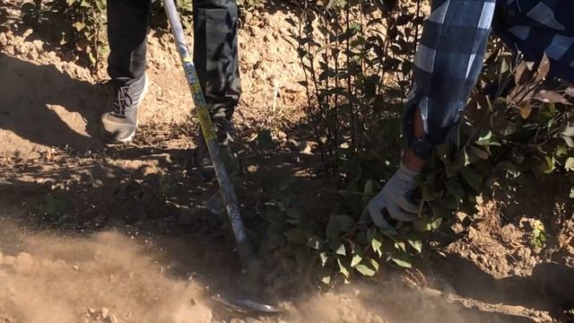 Глухих - Нож зубчатый для мотокосы. смотреть онлайн