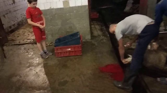 Ласув Москва смотреть онлайн