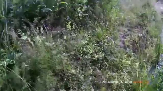 экспа 1ч смотреть онлайн