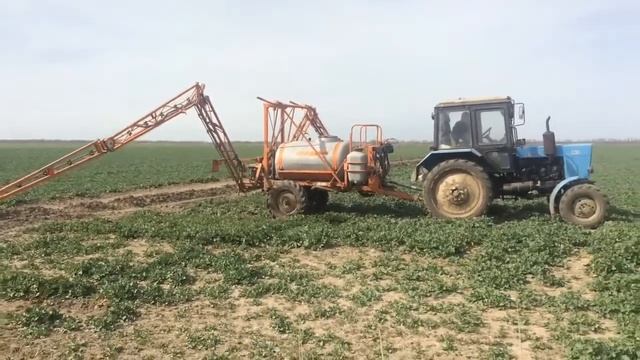 Подкормка рапса карбамидом МТЗ 82 JACTO