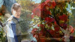 Посвящаю родному,любимому брату.Вечная тебе память брат,ты в моём сердце...