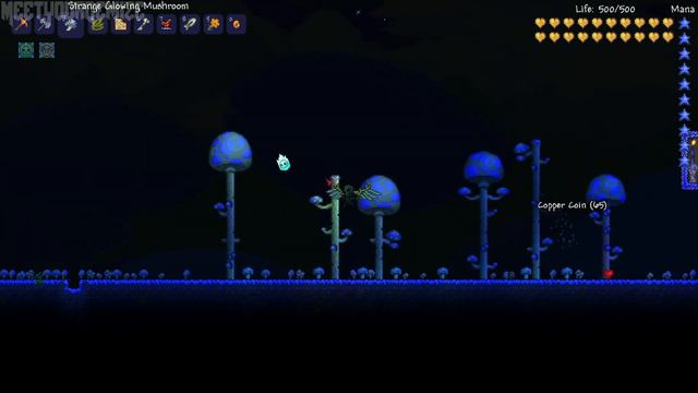 Terraria 1.2 How to get the Truffle Pet & Hammush! (Truffle NPC, Legend of Maxx Reference) @demizeg смотреть онлайн