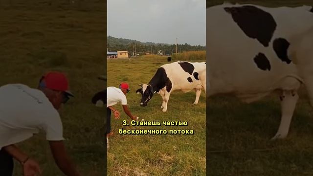 СПА-ТУР В КЕРАЛА, ИНДИЯ - Детоксикация тела и разума #индия #ретрит #чакры #рекомендации