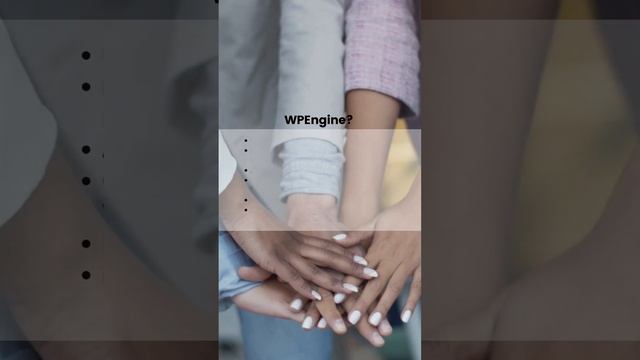 WPEngine - Your WordPress Site Will Love It Here смотреть онлайн