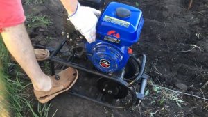 Посадка картофеля под мотолебедку