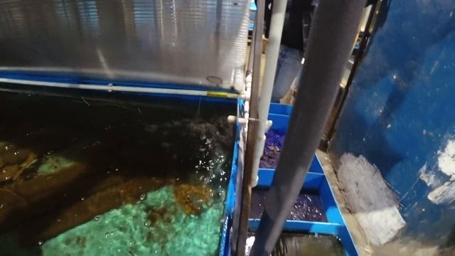 Раковая ферма. Экскурсия, технические подробности устройства. смотреть онлайн