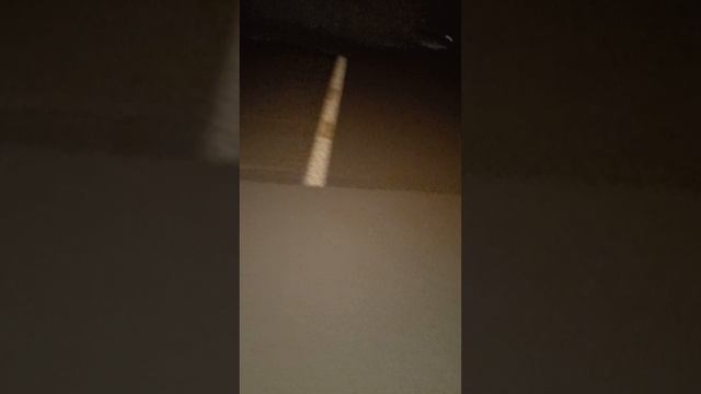 дом для котов с помощью акварели 2 смотреть онлайн