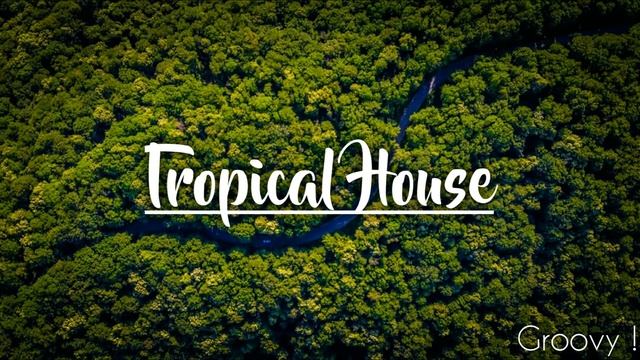  Tropical House  Music  Groovy Glitch