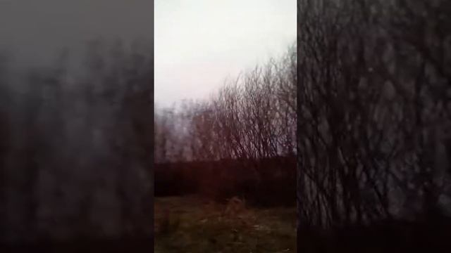 Челендж попробуй дойти до ,,конца света " смотреть онлайн