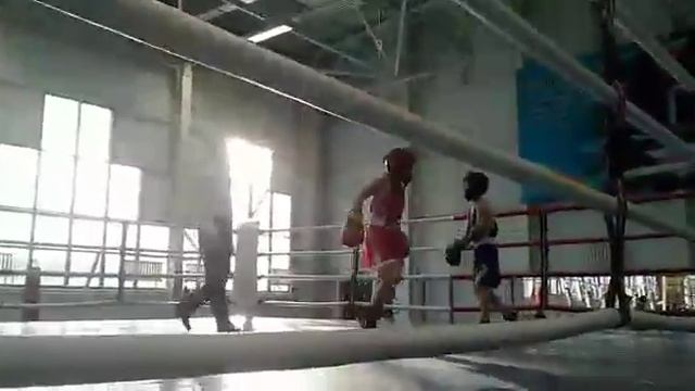 Жымпиты бокс Е.Б смотреть онлайн