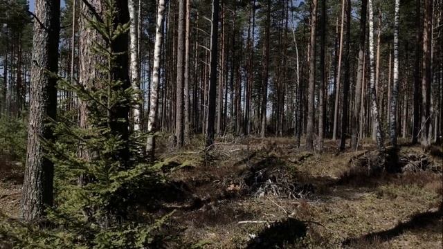 Ловим клещей на живцов смотреть онлайн