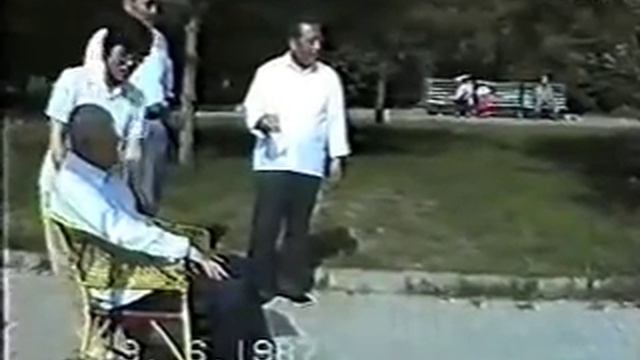 汪永泉晚年推手魏树人老六路揉手 Full Version