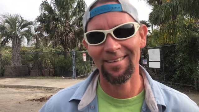 Plants that attack & Philodendron selloum and Xanadu смотреть онлайн