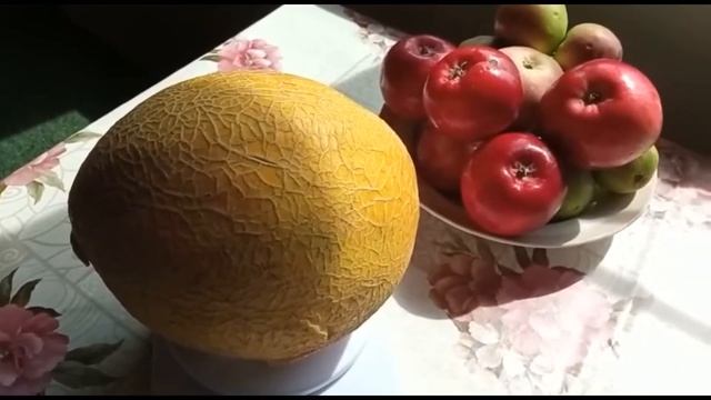 Дыня Золушка смотреть онлайн