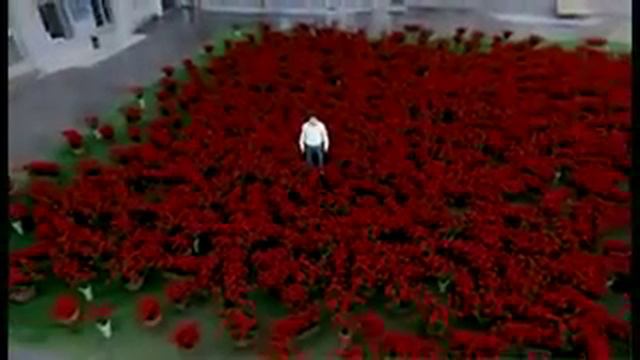 Million Alyh Roz  240