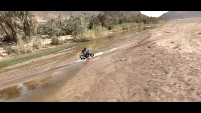 New 2022 Yamaha Tenere 700 & Tenere 700 Rally Edition + BONUS