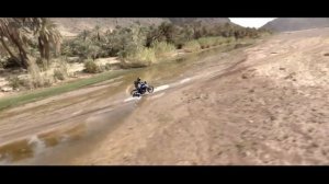 New 2022 Yamaha Tenere 700 & Tenere 700 Rally Edition + BONUS