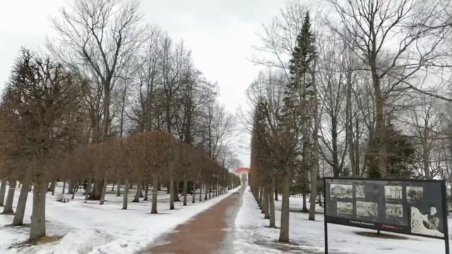Петергоф. Трельяжные беседки. 14.03.2021. смотреть онлайн