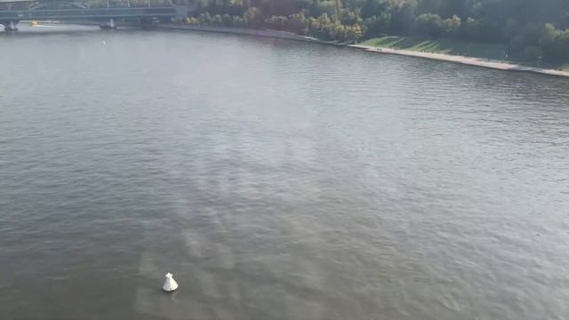 Канатная дорога 🚡 над рекой Москвой. смотреть онлайн