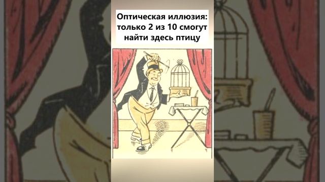 Найдите на картинке птицу #головоломка смотреть онлайн