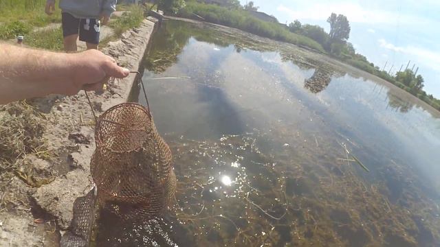 Ловись рыбка большая и маленькая.Зеленодольск Днепр.обл. смотреть онлайн