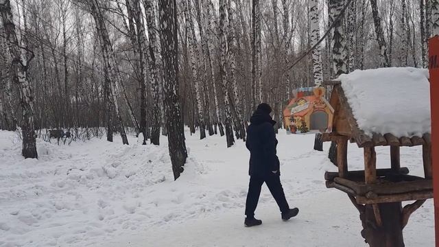 Синички и голуби в парке!!! смотреть онлайн