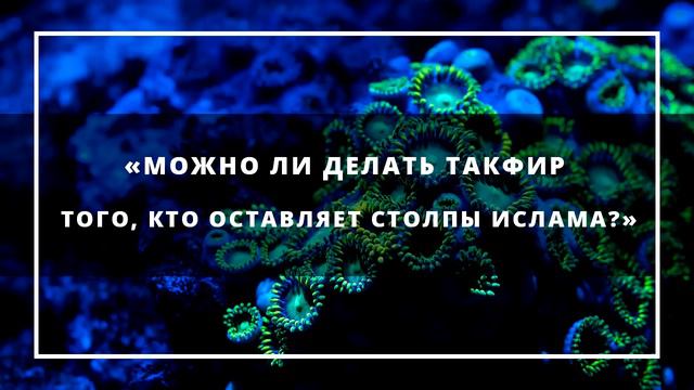 Можно ли делать такфир (обвинить в неверии) того, кто оставляет столпы Ислама» смотреть онлайн