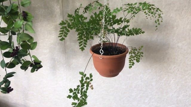 Строительные Совпадения