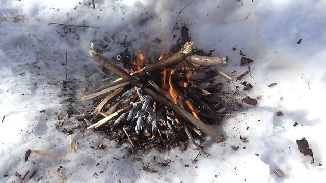Зимняя Вылазка в Лес Winter Forest (24.02.2014) смотреть онлайн
