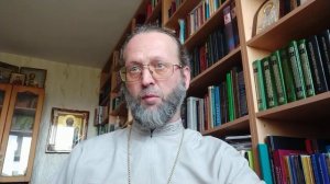 Богословский анализ доклада протоиерея Вячеслава Рубского «Понимание пола в православии»