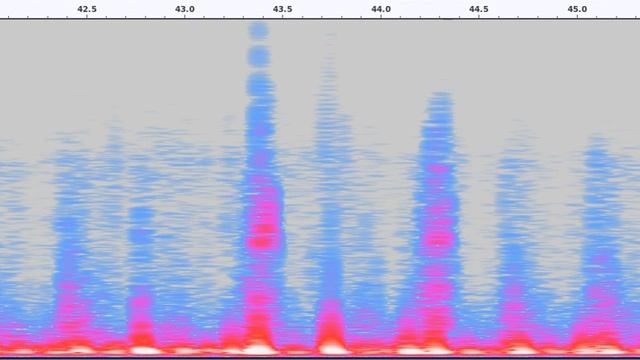 Heartbeat with weird squeaks under pressure смотреть онлайн