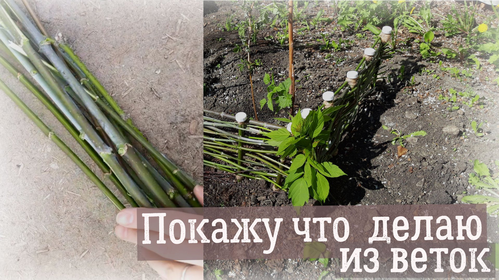 ПОКАЖУ ЧТО ДЕЛАЮ из ВЕТОК. Полезные идеи ДЛЯ САДА И ОГОРОДА, смотреть онлайн