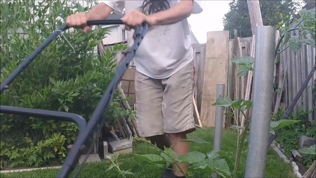 1999 Murray, Stihl FS 38 and BG 86 In Action смотреть онлайн