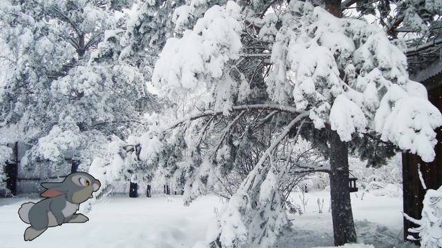 Красавица зима. Тюмень. Парки зимой. Дача зимой. 2023 г смотреть онлайн