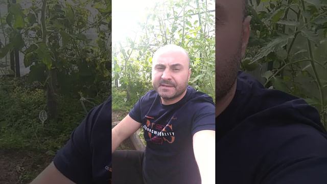 Почему горит Сибирь? Почему не тушат пожар в Сибири? Что происходит в Сибири и на дальнем востоке? смотреть онлайн