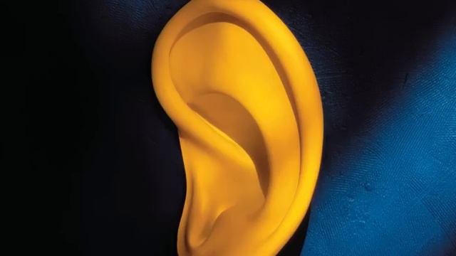 Waiting For Cousteau (Remastered)