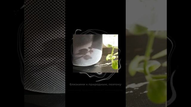 Суперэллипс смотреть онлайн