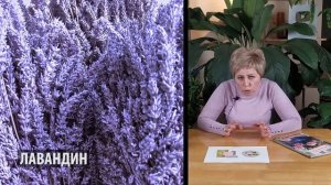 СЕЗОН 2020: ОБУСТРАИВАЕМ ЦВЕТНИК Лучшие компаньоны для роз ОСНОВЫ ДИЗАЙНА САДА / Садовый гид